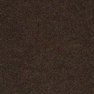 Philadelphia Commercial Windsurf Embers Shaw