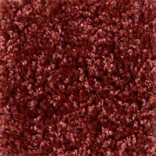 Shaw Floors Dreamin 12' Sienna SHAW