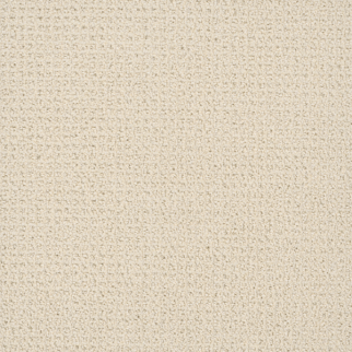 Dreamweaver Carpet Pinpoint Vanilla Whip DREAMWEAVER