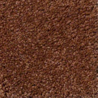 Shaw Floors Ultimate Expression 15' Dark Amber SHAW