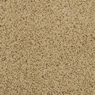 Masland Carpets Shangri-La Lost Horizon Masland