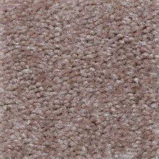 Shaw Floors Matador Manor House SHAW