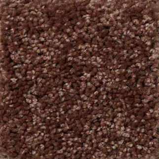 Shaw Floors Full Court 12 Flower Pot SHAW