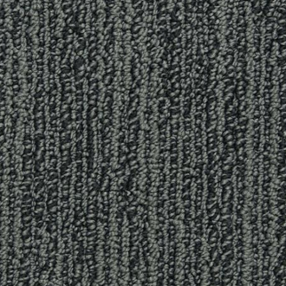 Dixie Home Advocate Blue Ribbon