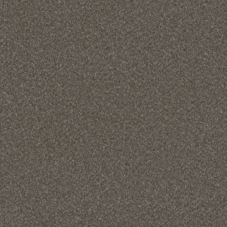 Dreamweaver Carpet Blazer II Rugby DREAMWEAVER