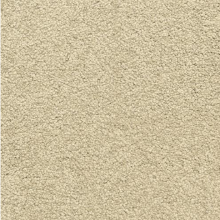 Dixie Home Maroon Bells Summer House