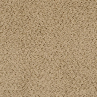 Masland Carpets New Hope Wood Smoke Masland