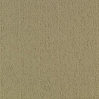 Philadelphia Commercial Color Accents BL Glided Shaw