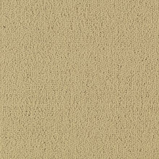 Philadelphia Commercial Color Accents BL Flax Shaw