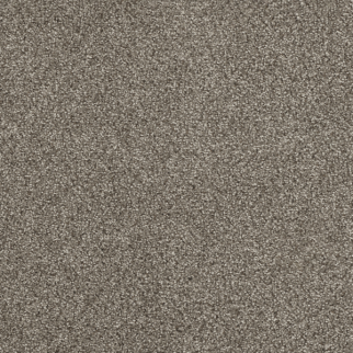 Dreamweaver Carpet Hollywood Baltic Birch DREAMWEAVER