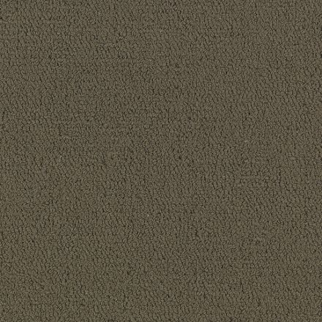 Philadelphia Commercial Color Accents BL Timber Shaw