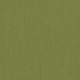 Philadelphia Commercial Color Accents BL Green Shaw