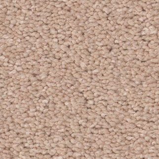 Tuftex Elegant Beauty Apricot Ice SHAW