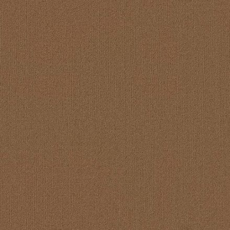 Philadelphia Commercial Color Accents BL Tobaco Shaw