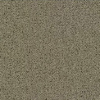 Philadelphia Commercial Color Accents BL Lichen Shaw