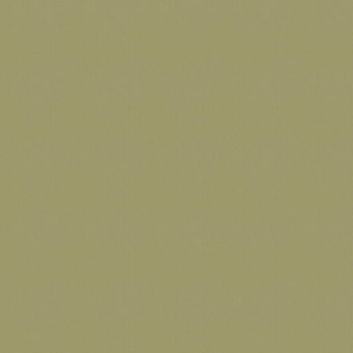 Philadelphia Commercial Color Accents BL Fescue Shaw