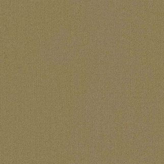 Philadelphia Commercial Color Accents BL Aloe Shaw