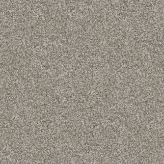 Dixie Home Labrador Chow Chow