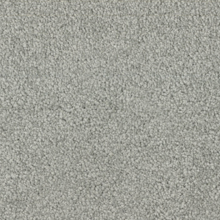 Dixie Home Spring Break Palm