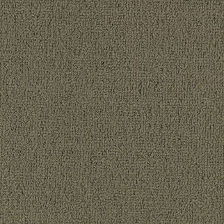 Philadelphia Commercial Color Accents BL Portabella Shaw