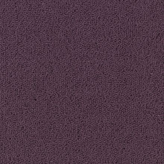 Philadelphia Commercial Color Accents BL Purple Heart Shaw