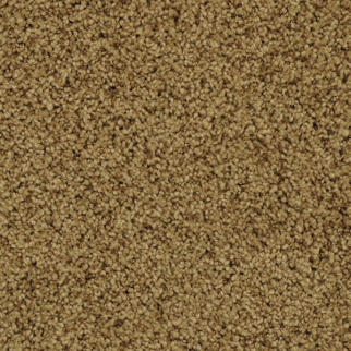 Masland Carpets Shangri-La Explorer Masland