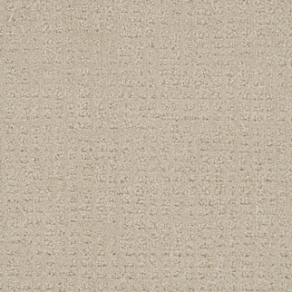 Dreamweaver Carpet Common Ground Champagne DREAMWEAVER