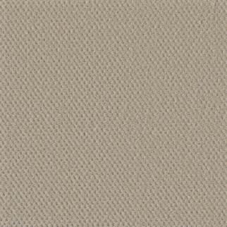 Dreamweaver Carpet Prime Champagne Fizz DREAMWEAVER
