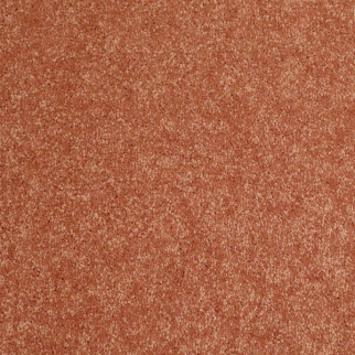 Shaw Floors Newbern Classic 12 Sunburst SHAW