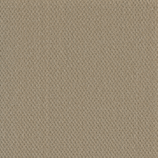 Dreamweaver Carpet Prime Soft Pine DREAMWEAVER