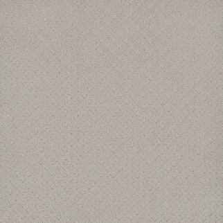 Dreamweaver Carpet Capri Snow Cap DREAMWEAVER