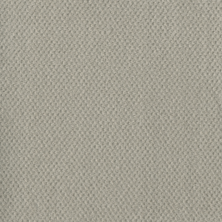 Dreamweaver Carpet Prime Snow Cap DREAMWEAVER