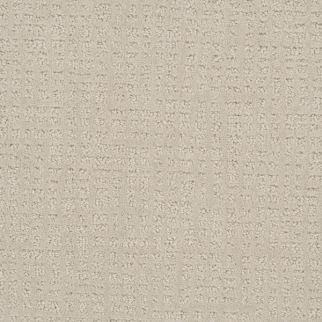 Dreamweaver Carpet Common Ground Alabaster DREAMWEAVER