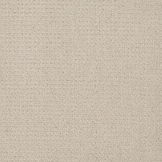 Dreamweaver Carpet Pinpoint Alabaster DREAMWEAVER