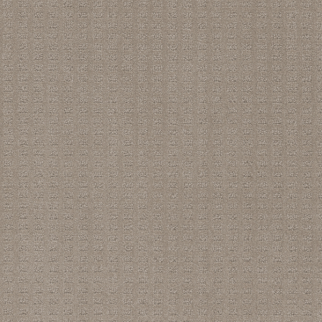 Dreamweaver Carpet Superb Warm Sand DREAMWEAVER