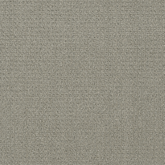 Dreamweaver Carpet Pinpoint Graystone DREAMWEAVER