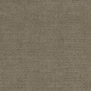 Dreamweaver Carpet Common Ground Topaz DREAMWEAVER