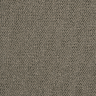 Dreamweaver Carpet Prime Topaz DREAMWEAVER