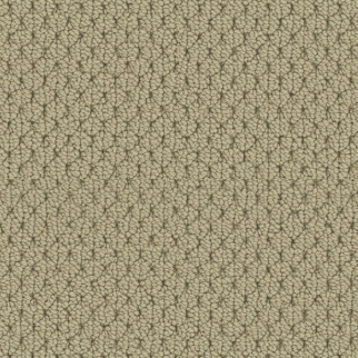 Fabrica Carpets Adulation Carmel Fabrica