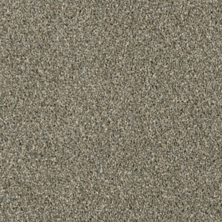 Dreamweaver Carpet Acclaim Smooth Sailing DREAMWEAVER