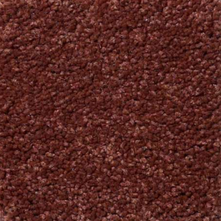 Shaw Floors Magic At Last IV 12' Spice SHAW