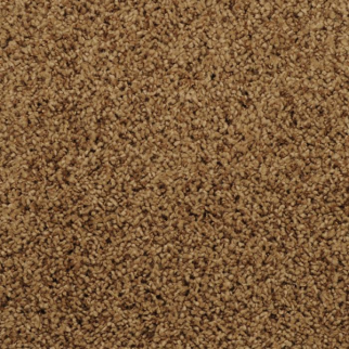 Masland Carpets Shangri-La Hideaway Masland