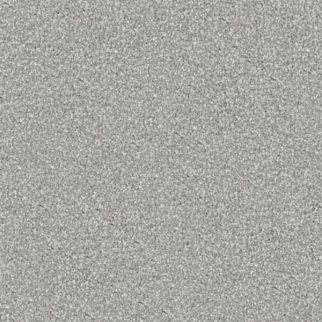 Masland Carpets Tracker Max Masland