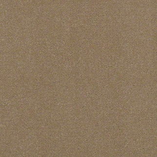 Philadelphia Commercial Baytowne III 36 Sand Dollar Shaw