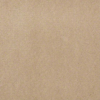 Philadelphia Commercial Baytowne III 30 Biscotti Shaw