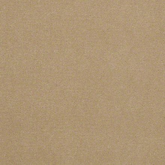 Philadelphia Commercial Baytowne III 36 Biscotti Shaw