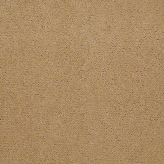 Philadelphia Commercial Baytowne III 30 Camel Shaw