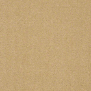 Philadelphia Commercial Baytowne III 36 Camel Shaw