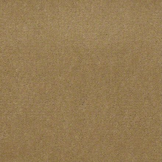 Philadelphia Commercial Baytowne III 30 Tuscan Gold Shaw