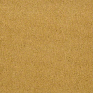 Philadelphia Commercial Baytowne III 30 Tuscan Sun Shaw